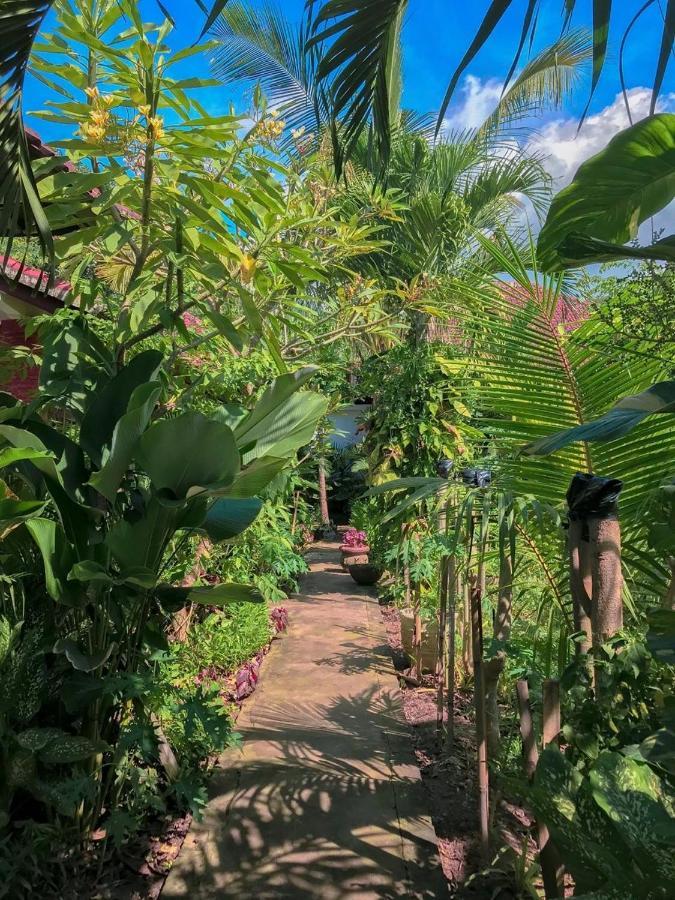 Enak Bungalow アメッド エクステリア 写真